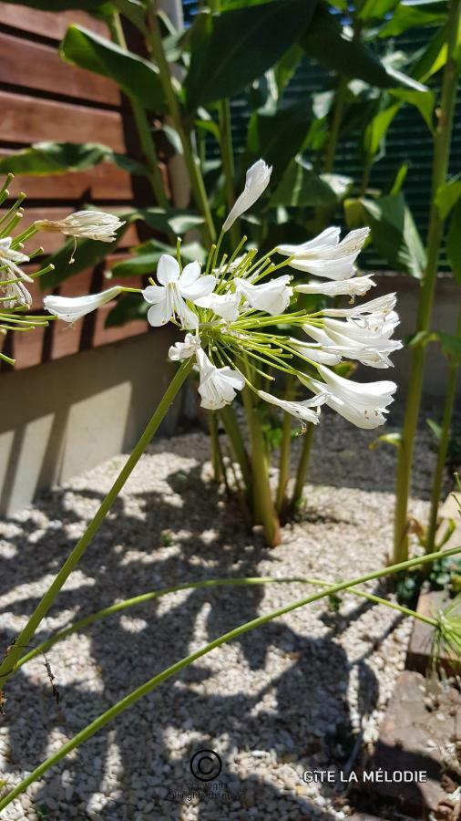 Gite La Melodie Longueville  Exterior photo
